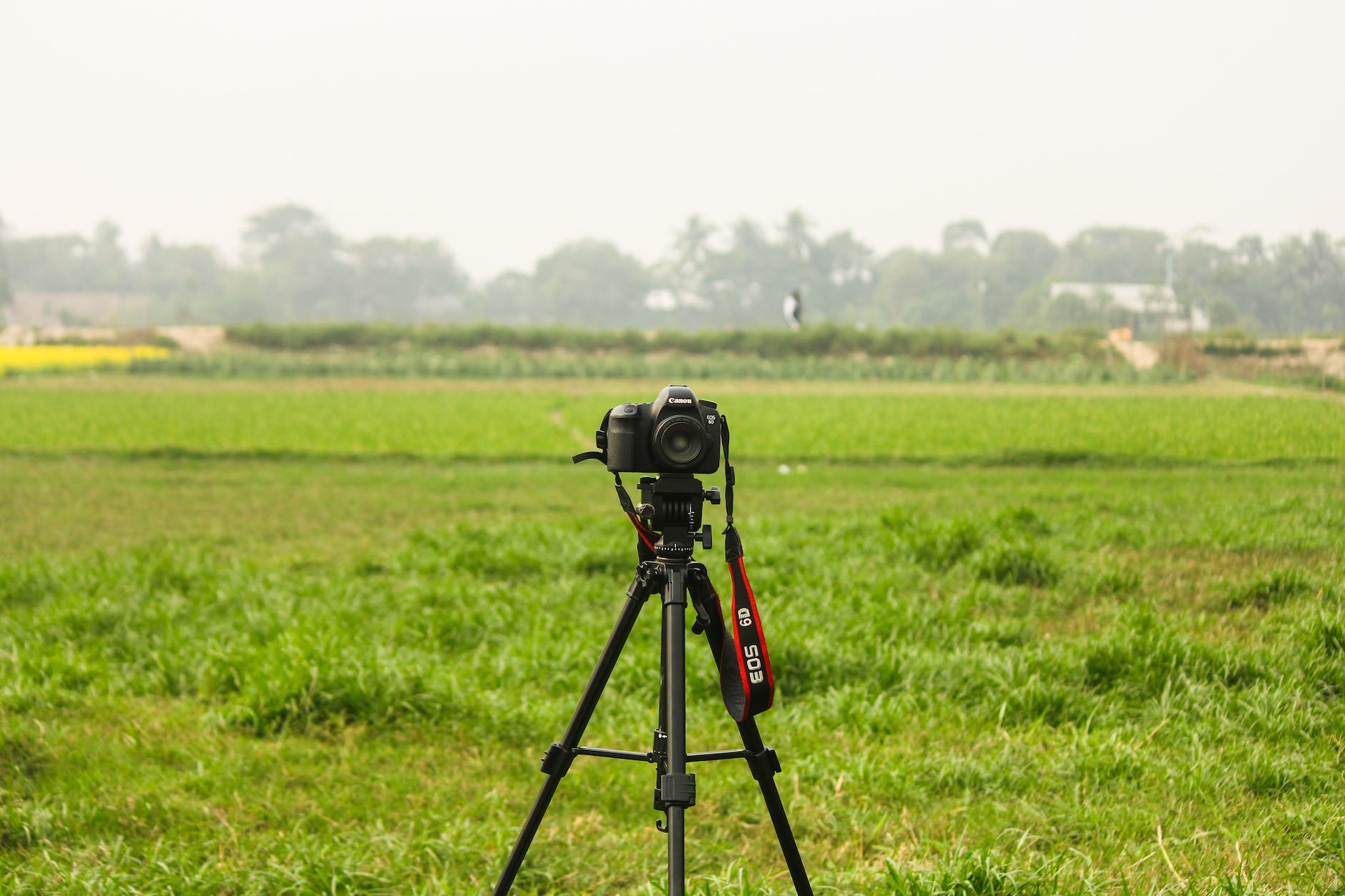 professional photo camera on tripod in countryside