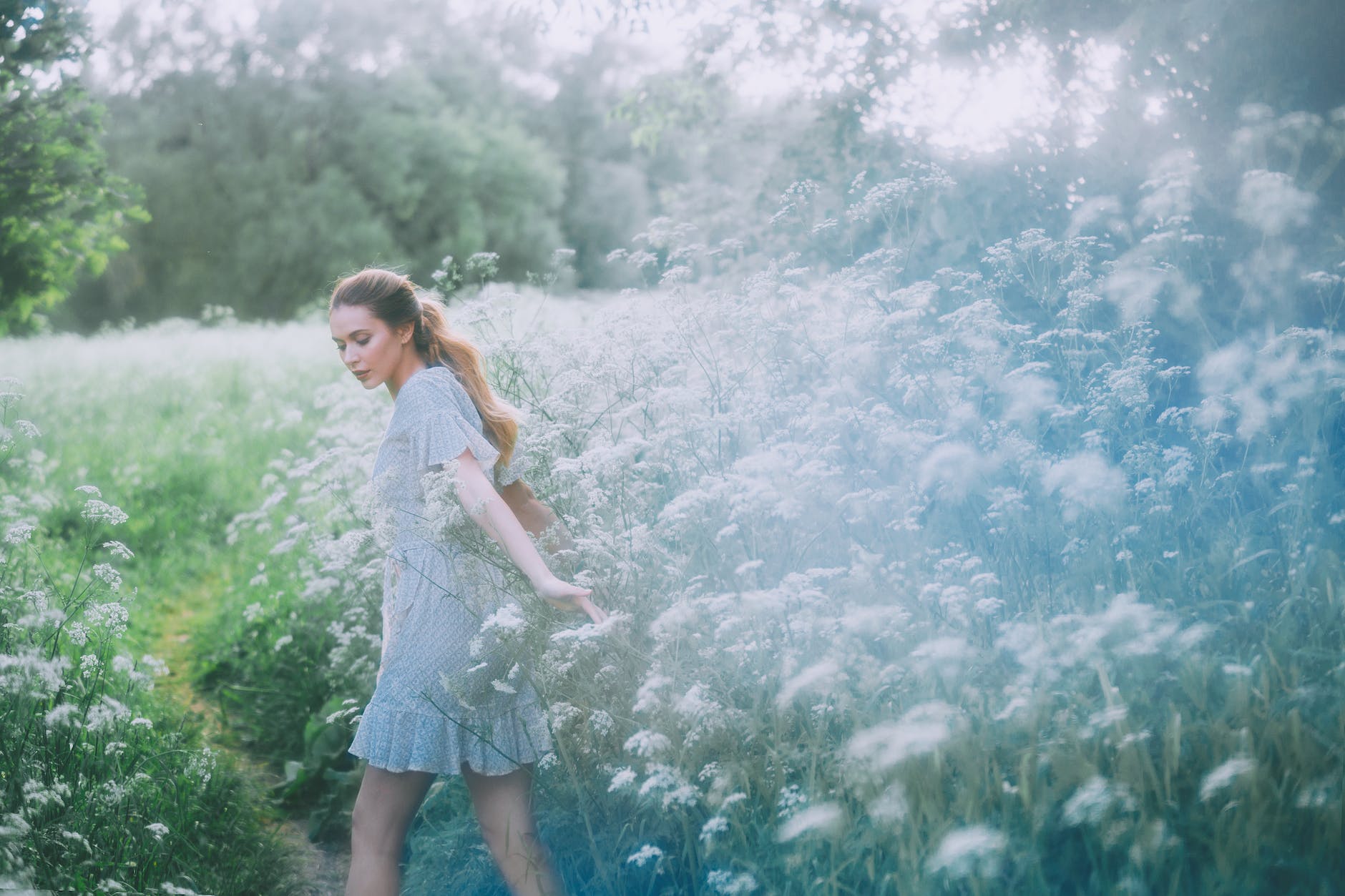 gentle woman walking on path in field with blooming flowers