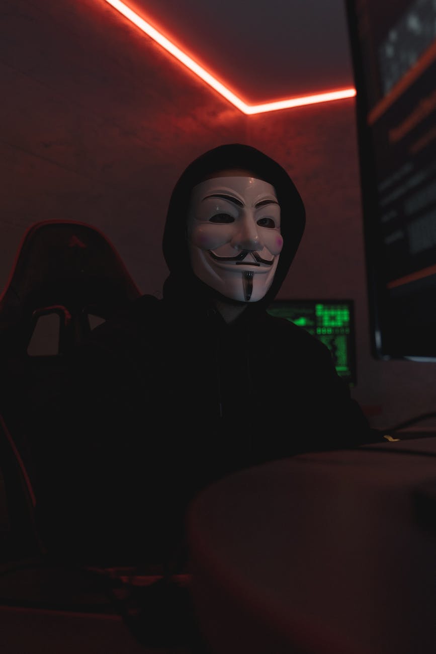 person in guy fawkes mask